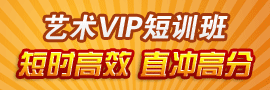 考研艺术VIP特训班