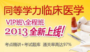 2013同等学力VIP班全程班 全新上线