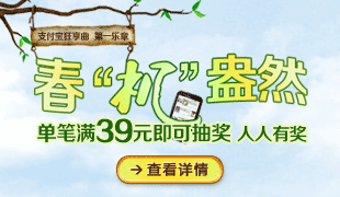 支付宝狂想曲