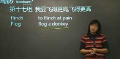 视频：赵丽托福8000词汇之我要飞得更高