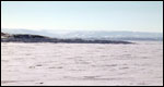 Arctic scene