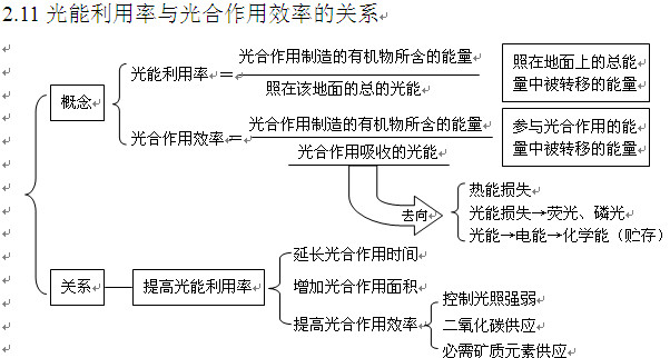 2013高考生物知识点:光能利用率与光合作用效率的关系