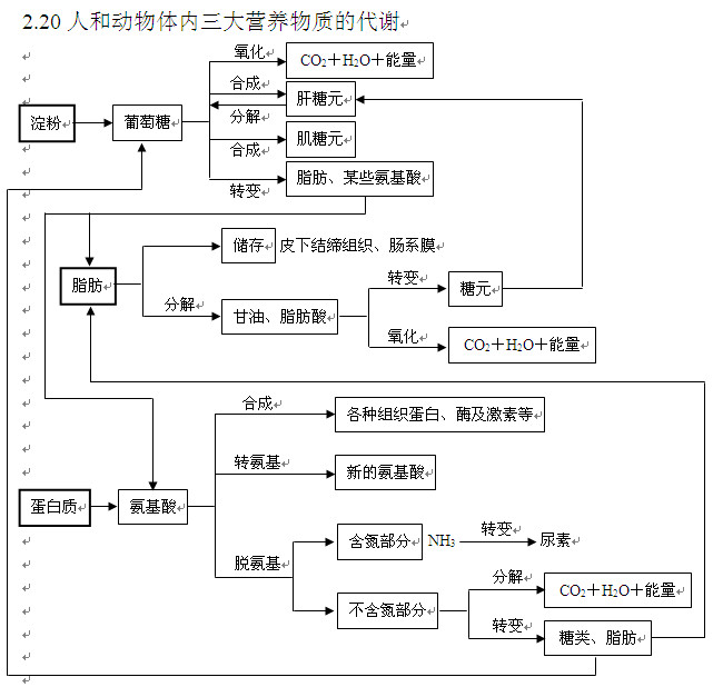 2013高考生物知识点:人体内三大营养物质