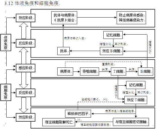 2013高考生物知识点:体液免疫和细胞免疫