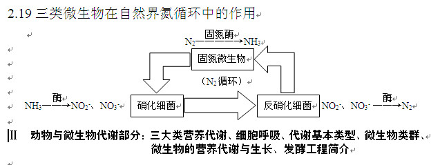 2013高考生物知识点:三类微生物对氮循环作用