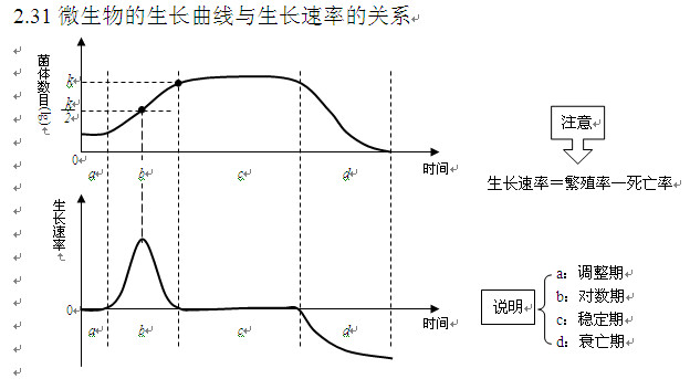 2013高考生物知识点:微生物生长曲线和速率关系