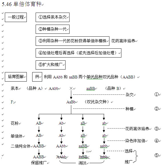 2013高考生物知识点:单倍体育种