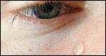 Someone crying