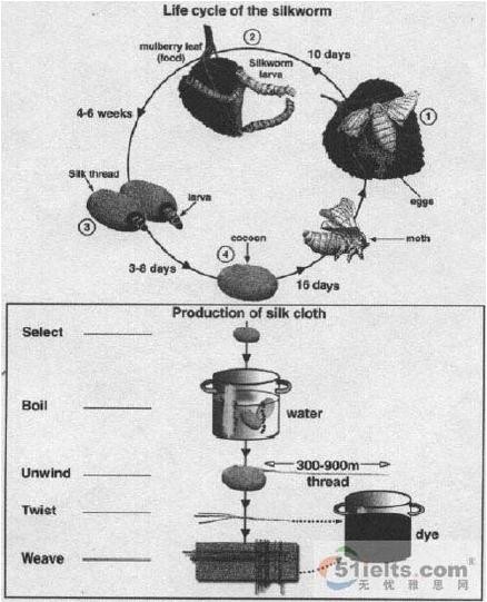 题目  :蚕的生活史及丝绸服饰的生产流程【组图】