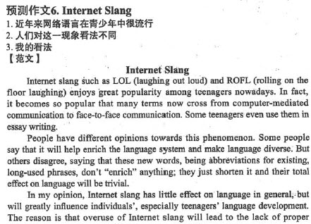 英语四级作文范文:网络语言