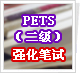 PETS（二级）强化笔试 - (2007)