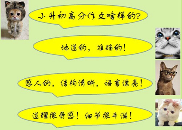 小升初语文【作文】专项提高班_小学培训班