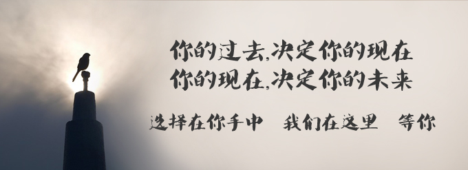 2015高考【文科综合】15天快速提分特训营