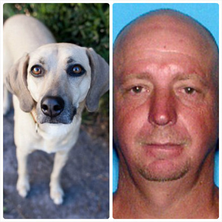 a shelter dog has been hailed a hero after saving a florida girl