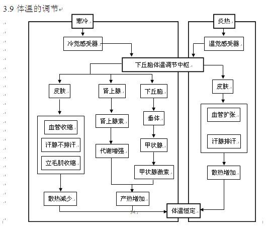 2013高考生物知识点体温调节