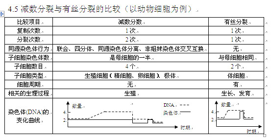 2013高考生物知識點:減數分裂有絲分裂