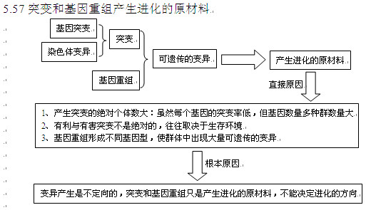 2013高考生物知識點:突變和基因重組產生進化的原材料